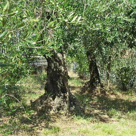 ベッド・アンド・ブレックファスト Mare E Monti ラ・スペツィア