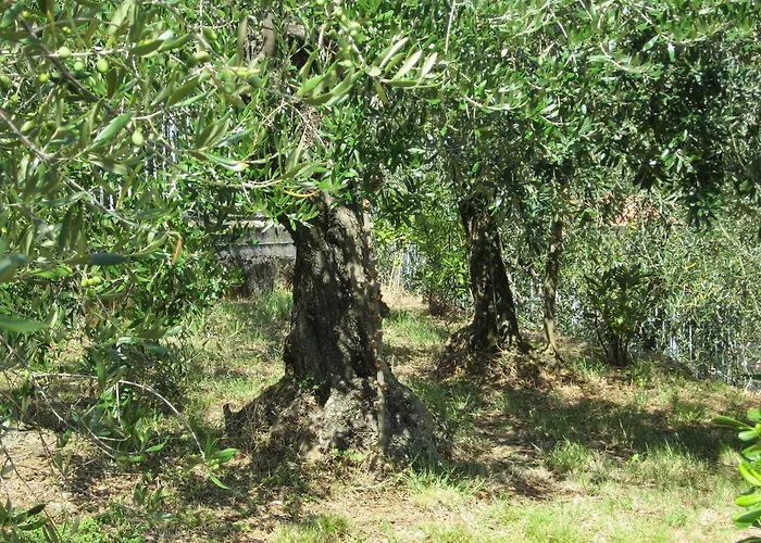 Alojamento de Acomodação e Pequeno-almoço Mare E Monti La Spezia