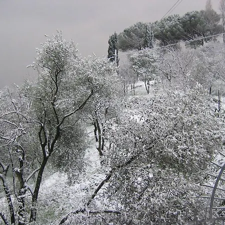 Panzió Mare E Monti