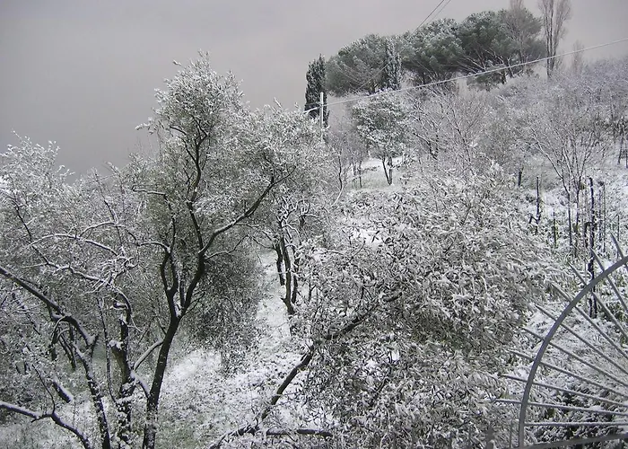 Bed & Breakfast Mare E Monti